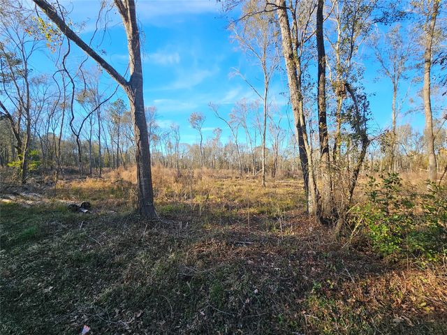 Lot 4 Sherwood Drive, Shepherd, TX 77371
