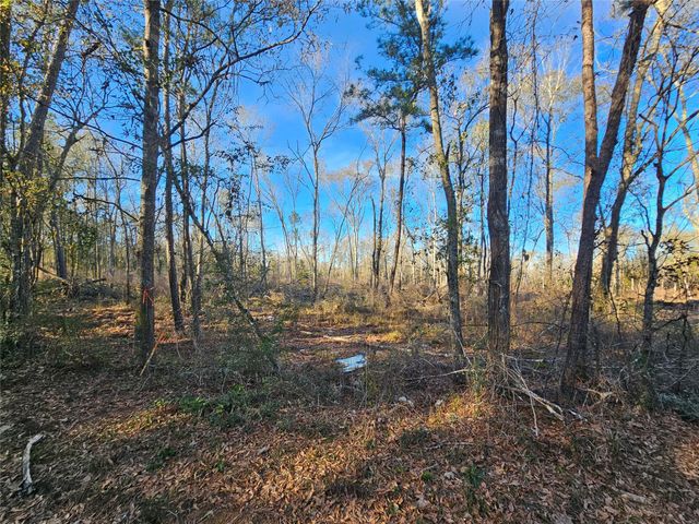 Lot 4 Sherwood Drive, Shepherd, TX 77371