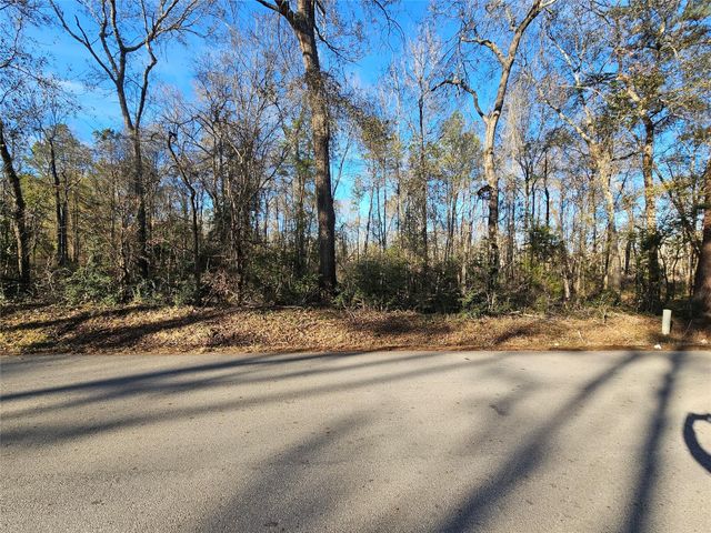 Lot 4 Sherwood Drive, Shepherd, TX 77371