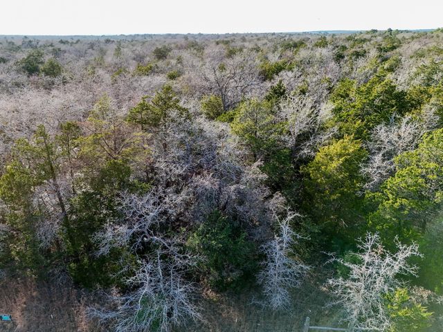 Lot 11 Antioch RD, Paige, TX 78659