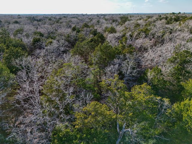 Lot 11 Antioch RD, Paige, TX 78659
