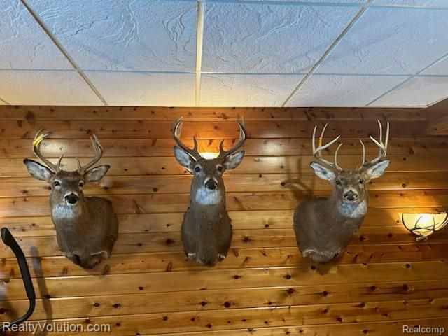 3597 Lippincott Road, Lapeer, MI 48446