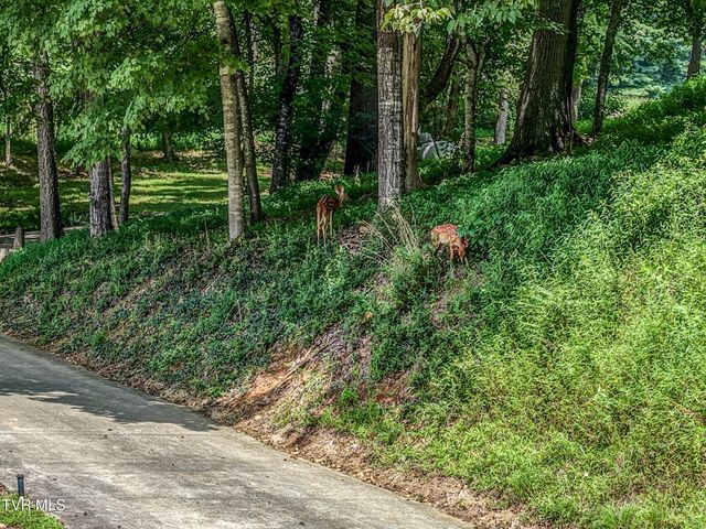 1212 Wahoo Valley Road, Kingsport, TN 37663