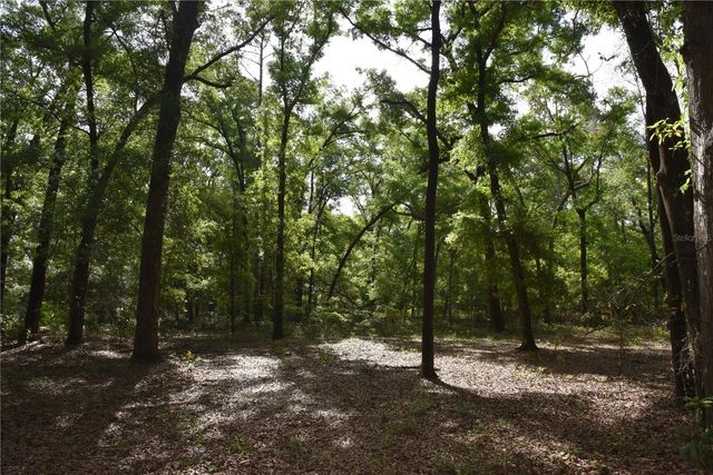 1859 NE 46TH CIRCLE, High Springs, FL 32643