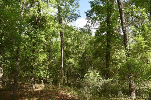 1859 NE 46TH CIRCLE, High Springs, FL 32643