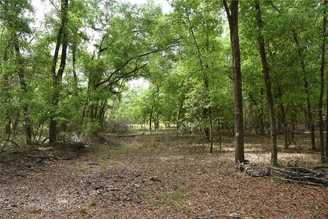 1859 NE 46TH CIRCLE, High Springs, FL 32643