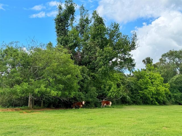 TBD Cr 112, Centerville, TX 75833