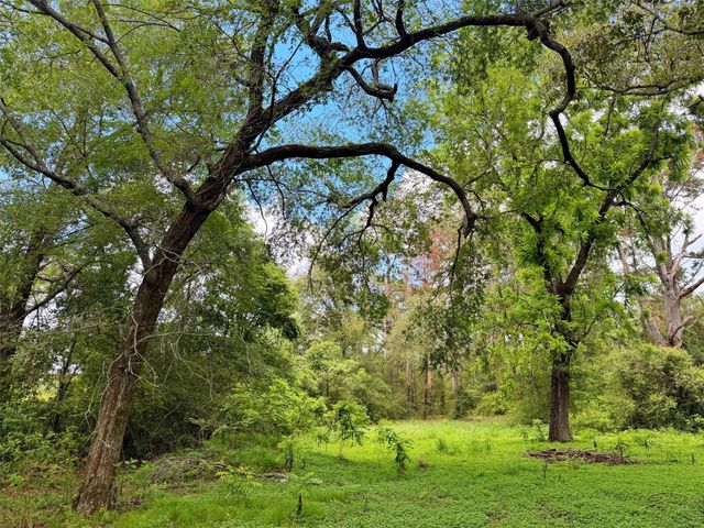 TBD Cr 112, Centerville, TX 75833