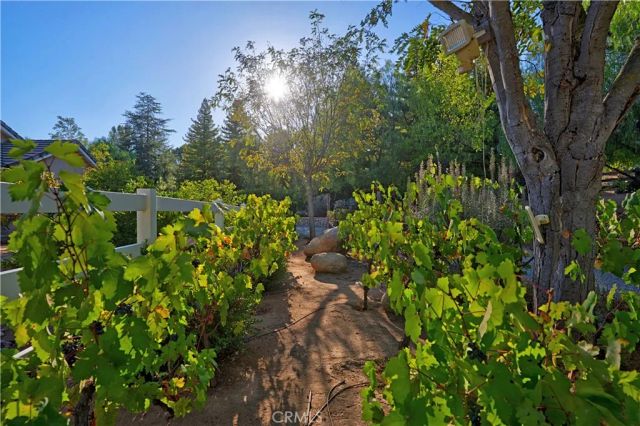 19315 Avenida Cordoba, Murrieta, CA 92562
