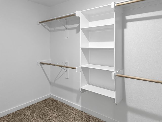 52 Wolfsbridge Loop, Cabot, AR 72023