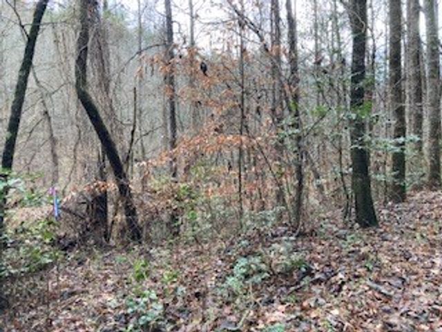 53 Llama Lane, Ellijay, GA 30540