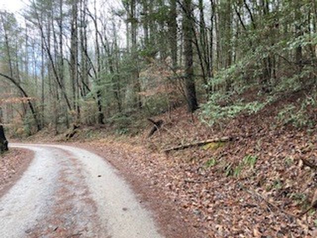 53 Llama Lane, Ellijay, GA 30540