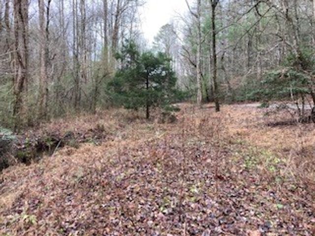 53 Llama Lane, Ellijay, GA 30540