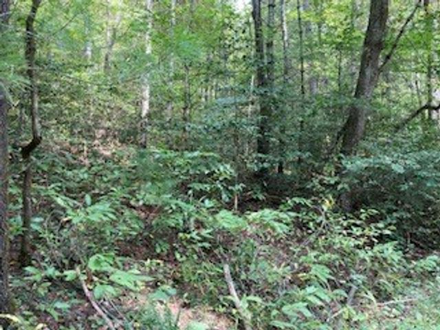 53 Llama Lane, Ellijay, GA 30540