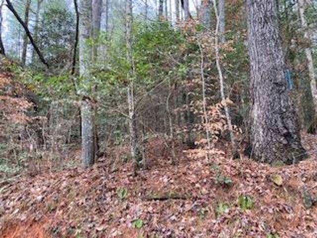 53 Llama Lane, Ellijay, GA 30540