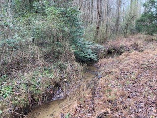 53 Llama Lane, Ellijay, GA 30540