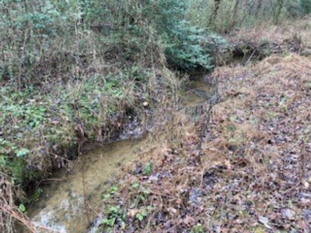 53 Llama Lane, Ellijay, GA 30540