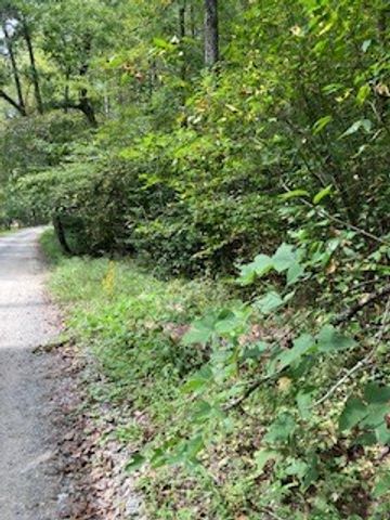 53 Llama Lane, Ellijay, GA 30540