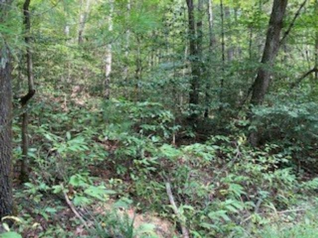 53 Llama Lane, Ellijay, GA 30540