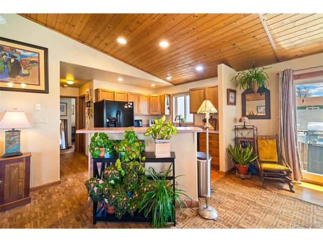 740 Castello Ave, Fairplay, CO 80440