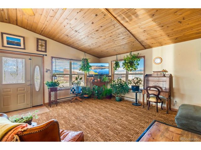 740 Castello Ave, Fairplay, CO 80440
