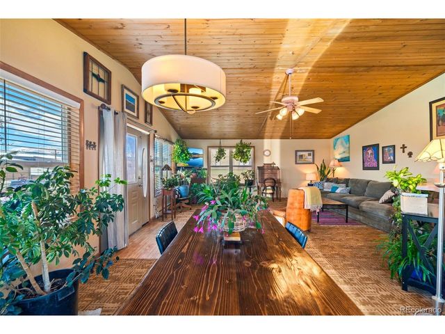 740 Castello Ave, Fairplay, CO 80440