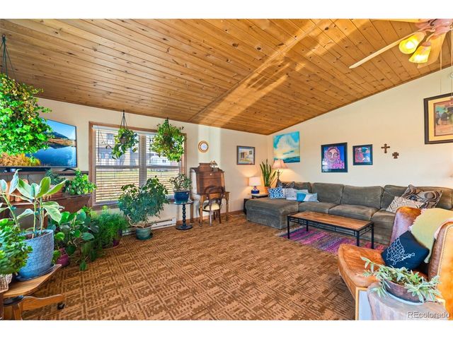 740 Castello Ave, Fairplay, CO 80440