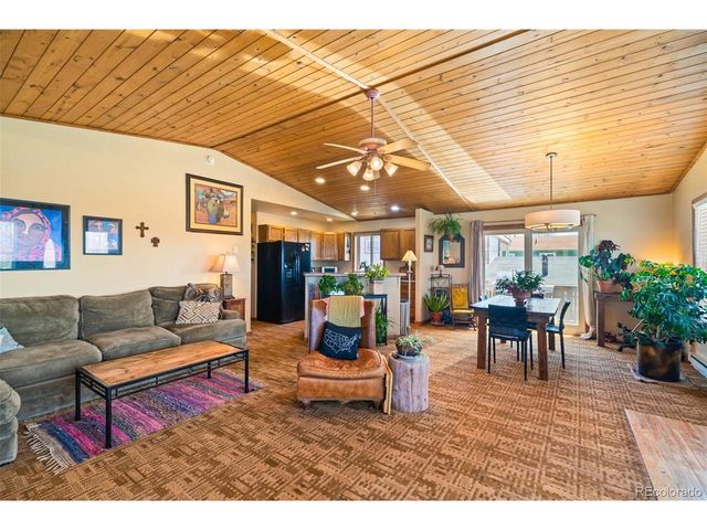 740 Castello Ave, Fairplay, CO 80440