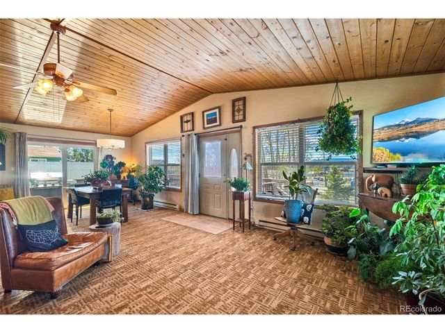 740 Castello Ave, Fairplay, CO 80440