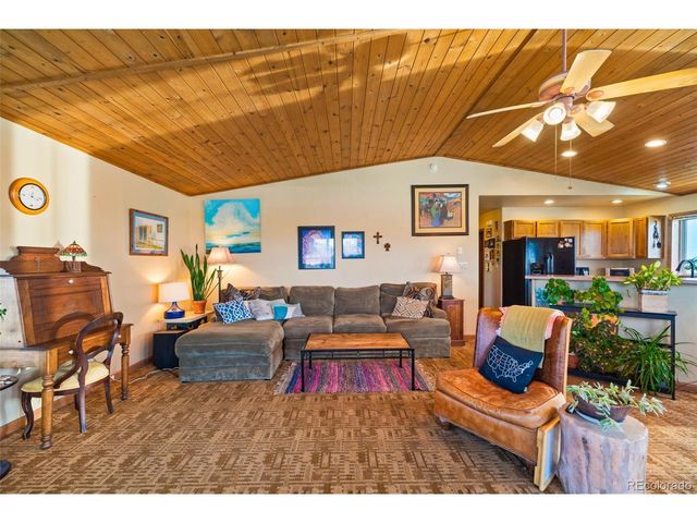 740 Castello Ave, Fairplay, CO 80440