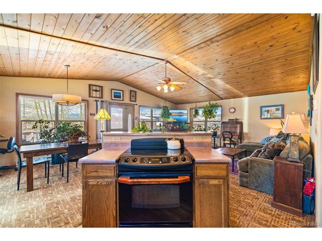 740 Castello Ave, Fairplay, CO 80440