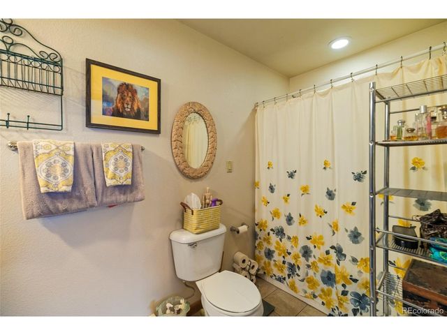 740 Castello Ave, Fairplay, CO 80440