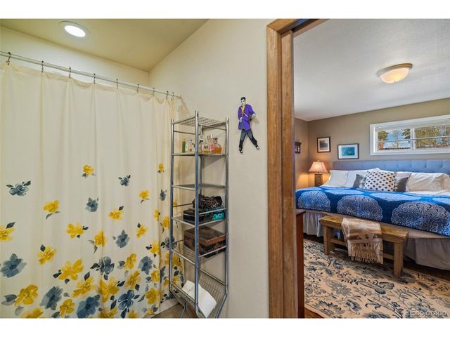 740 Castello Ave, Fairplay, CO 80440