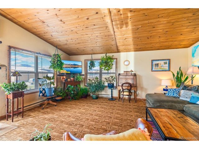 740 Castello Ave, Fairplay, CO 80440