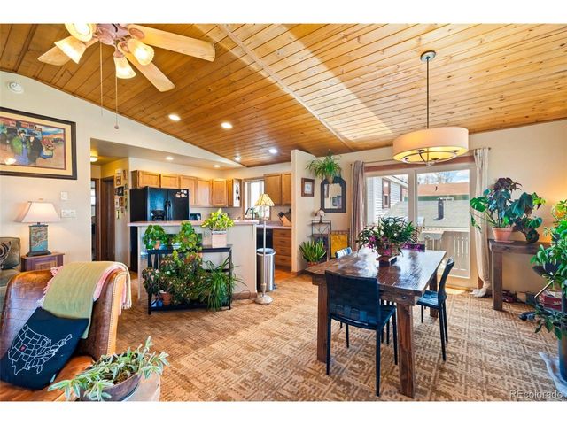 740 Castello Ave, Fairplay, CO 80440
