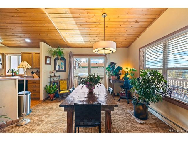 740 Castello Ave, Fairplay, CO 80440