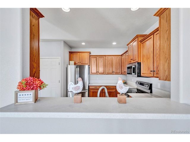 17099 Blue Mist Grv, Monument, CO 80132