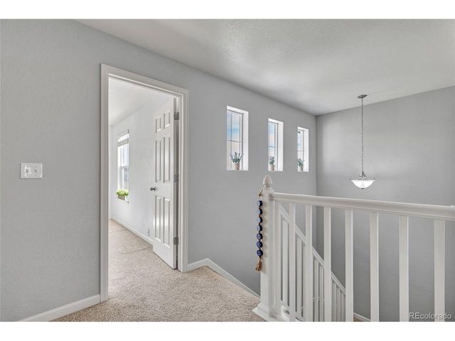 17099 Blue Mist Grv, Monument, CO 80132