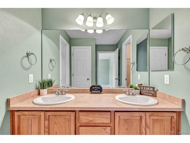 17099 Blue Mist Grv, Monument, CO 80132