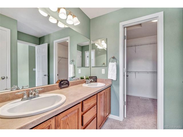 17099 Blue Mist Grv, Monument, CO 80132