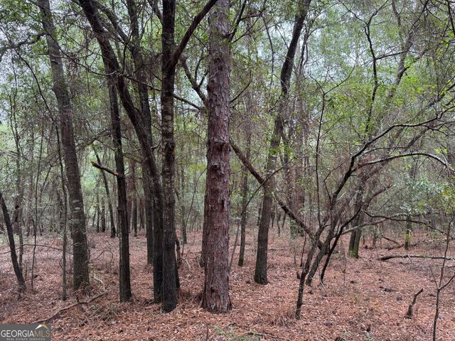 102 Circle Drive, East Dublin, GA 31027