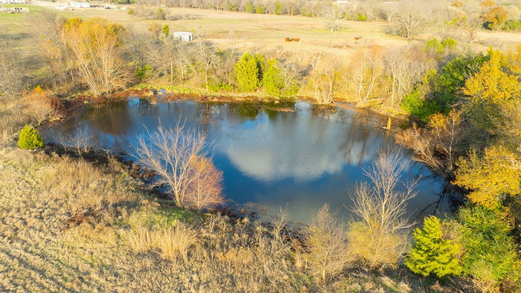 1495 VZ CR 3908 & 112154, Wills Point, TX 75169