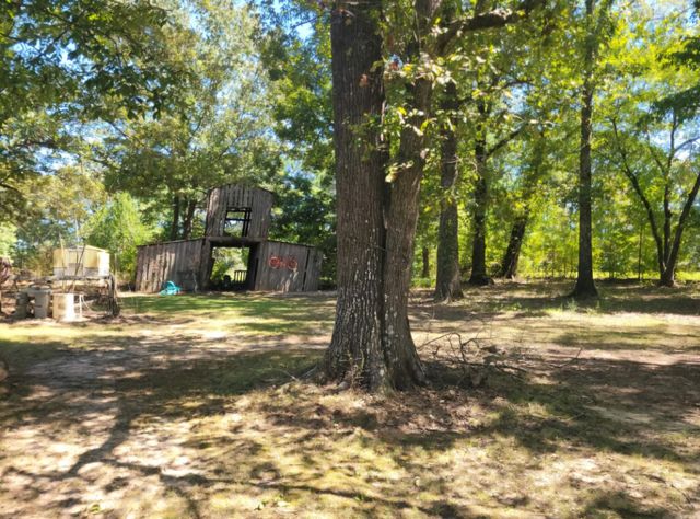 2046 Highway 425, Monticello, AR 71655