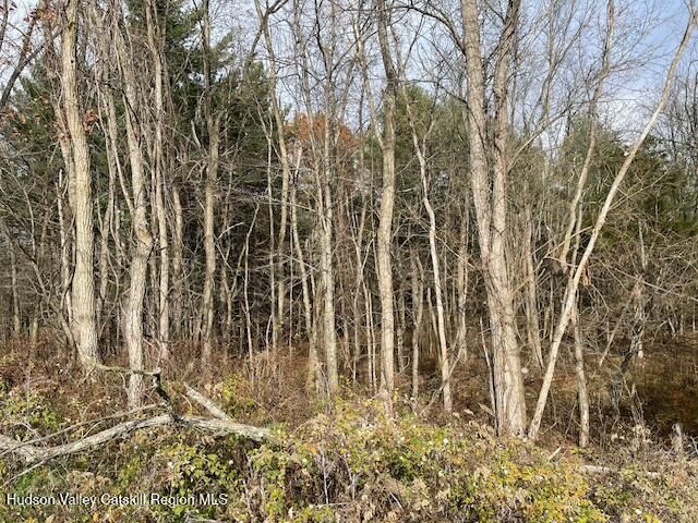 00 Schoharie Turnpike, Greenville, NY 12083