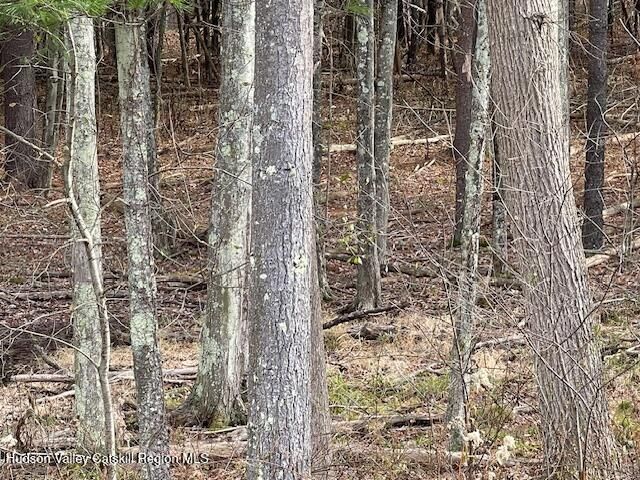 00 Schoharie Turnpike, Greenville, NY 12083