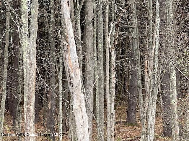 00 Schoharie Turnpike, Greenville, NY 12083