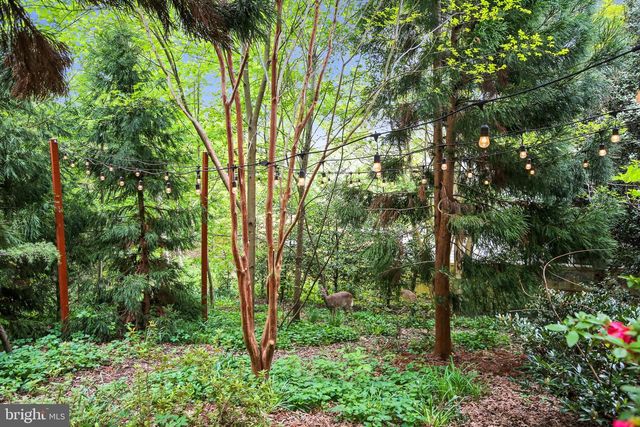 2325 HIGHLAND AVE, Falls Church, VA 22046