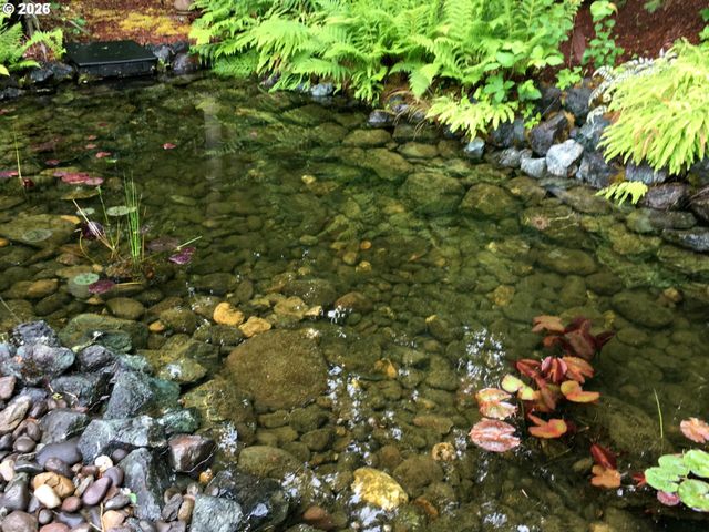 197 MANDERVILLE Ln, Roseburg, OR 97471