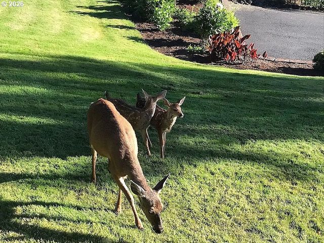 197 MANDERVILLE Ln, Roseburg, OR 97471