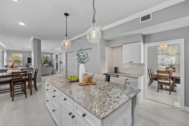 15618 SHOAL CREEK PLACE, Odessa, FL 33556